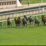 【競馬】ムーランドロンシャン賞 ゴートゥファーストは11着 1着はサーラン