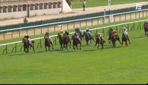 【競馬】ムーランドロンシャン賞　ゴートゥファーストは11着　1着はサーラン