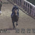 【シリウスステークス2025】追い切り/動きを見極め勝利に近づけ