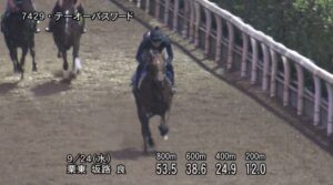 【シリウスステークス2025】追い切り/動きを見極め勝利に近づけ