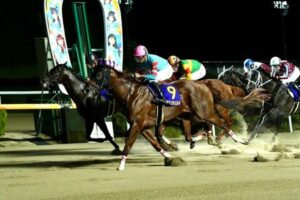 【サマーチャンピオン】エンペラーワケア、ゴール前ヤマニンチェルキに交わされる