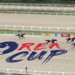 【コリアカップ2025】結果・動画/ディクテオンが鮮やかに差し切る