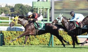【京成杯AH】超大波乱！13番人気7歳牝馬ホウオウラスカーズが重賞初制覇
