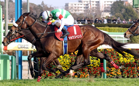 シックスペンス　御神本と新タッグでマイルCS南部杯へ