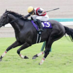 ルガル川田将雅とはなんだったのか