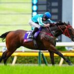 ロマンチックウォリアーがバリアトライアルで復帰