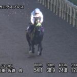 【京成杯オータムハンデ2025】追い切り/動きを見極め勝利に近づけ