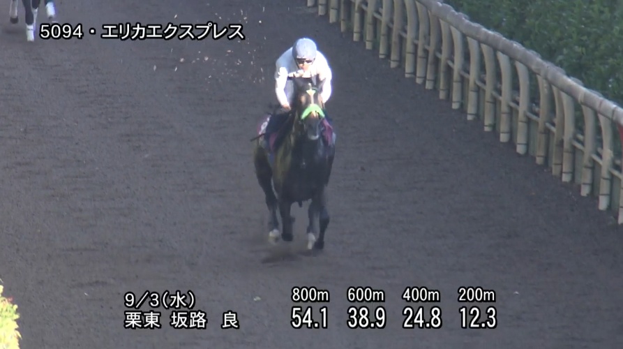 【京成杯オータムハンデ2025】追い切り/動きを見極め勝利に近づけ