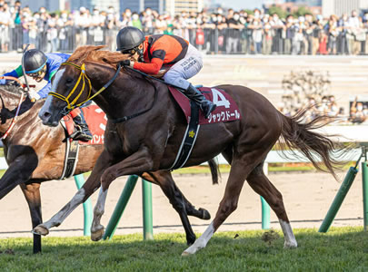 ジャックドール1ヶ月遅れでスタッドインも初年度79頭に種付けした模様