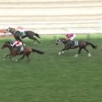 【札幌2歳ステークス2025】結果・動画/ショウナンガルフが人気に応え快勝