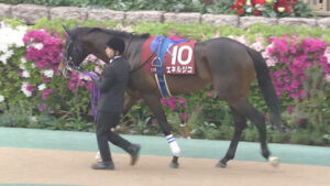 菊花賞はエネルジコvsエリキングvsゲルチュタール