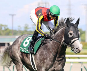 マッドクール引退 優駿スタリオンで種牡馬入り