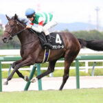 【野路菊S】アランカール強すぎワロタw w w w w