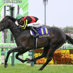 【競馬予想】[1]第79回セントライト記念(GⅡ) /2025