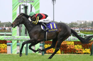 【競馬予想】[1]第79回セントライト記念(GⅡ) /2025