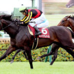 ミュージアムマイル完勝→クロワデュノール凱旋門勝てるんじゃね？