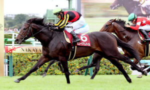 【セントライト記念】皐月賞馬ミュージアムマイル外から抜け出し快勝！秋の盾へ好発進