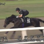 【神戸新聞杯2025】追い切り/調教を見てわかる事