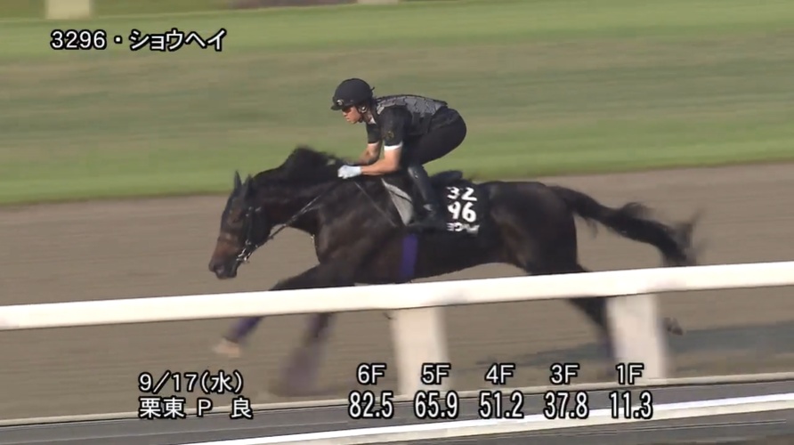 【神戸新聞杯2025】追い切り/調教を見てわかる事