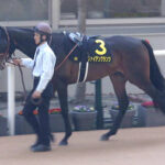 【競馬予想】[2]第79回セントライト記念(GⅡ) /2025