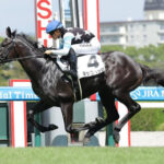新馬を快勝したスタディオブマン産駒キッコベッロってどうなの?