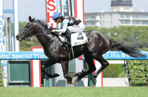 新馬を快勝したスタディオブマン産駒キッコベッロってどうなの？