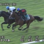 【札幌2歳ステークス2025】追い切り/調教を見てわかる事