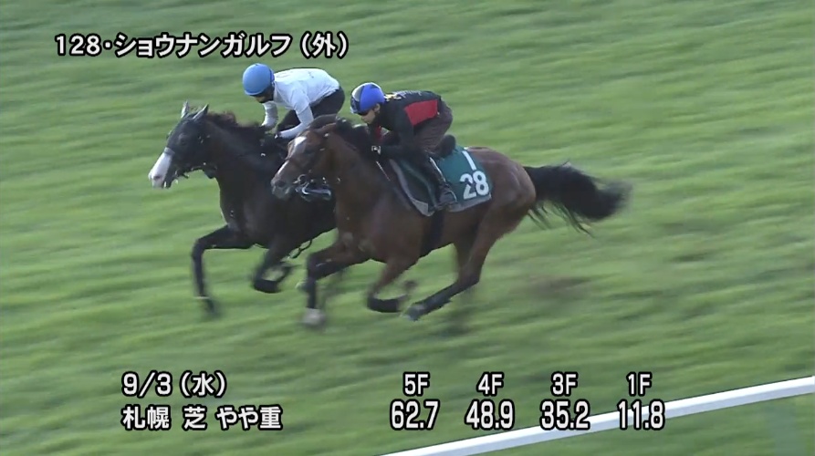 【札幌2歳ステークス2025】追い切り/調教を見てわかる事