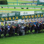 新馬戦でこれは強いと思った馬