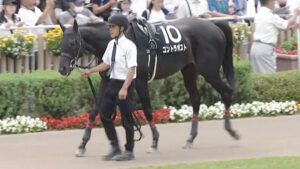 【競馬予想】[2]第70回京成杯オータムハンデ(GⅢ) /2025