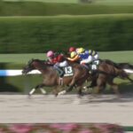 【シリウスステークス2025】結果・動画/ホウオウルーレットがまとめて差し切る