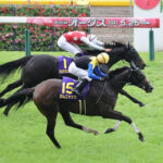 【競馬予想】[1]第43回ローズステークス(GⅡ) /2025