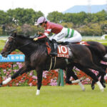 【神戸新聞杯】2番人気エリキングがV!1番人気ショウヘイが首差2着