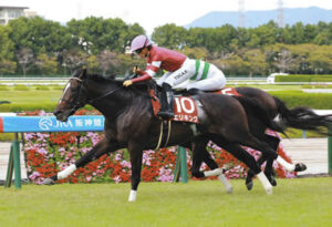 【神戸新聞杯】2番人気エリキングがV！1番人気ショウヘイが首差2着