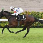 マイユニバース大圧勝で菊花賞有力候補に急上昇