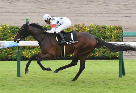 マイユニバース大圧勝で菊花賞有力候補に急上昇