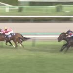 【スプリンターズステークス2025】結果・動画/ウインカーネリアンが感涙のG1初制覇