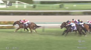 【スプリンターズステークス2025】結果・動画/ウインカーネリアンが感涙のG1初制覇