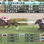 【スプリンターズS】ナムラクレア長谷川調教師「ペースが遅かったので、もうひとつ前の位置を取れれば・・・」
