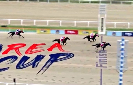【コリアカップ】大井のディクテオンが差し切りV! 地方馬海外重賞制覇