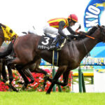 【競馬予想】[2] 第71回オールカマー(GII) /2025