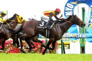 【競馬予想】[2] 第71回オールカマー(GII) /2025