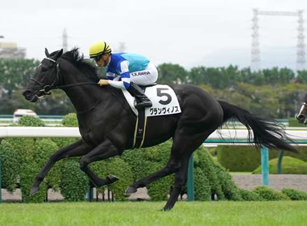 【競馬予想】[2]第76回チャレンジカップ(GⅢ) /2025