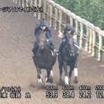 【セントライト記念2025】追い切り/動きを見極め勝利に近づけ