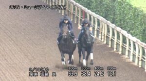 【セントライト記念2025】追い切り/動きを見極め勝利に近づけ