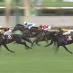 【競馬】セントライト記念は戸崎騎乗のミュージアムマイルが快勝