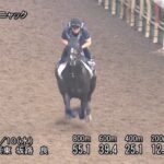 【ローズステークス2025】追い切り/動きからレースを紐解く