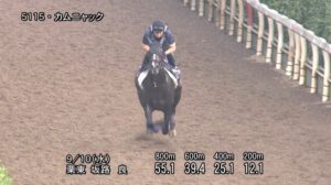 【ローズステークス2025】追い切り/動きからレースを紐解く