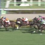 【競馬】紫苑Sは西塚騎乗のケリフレッドアスクが逃げ切りV