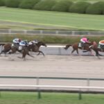 【シリウスステークス2025】出走予定馬・騎手/惑星多彩